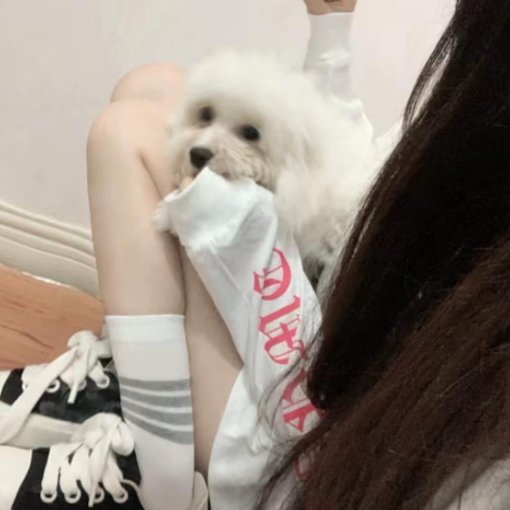 护短