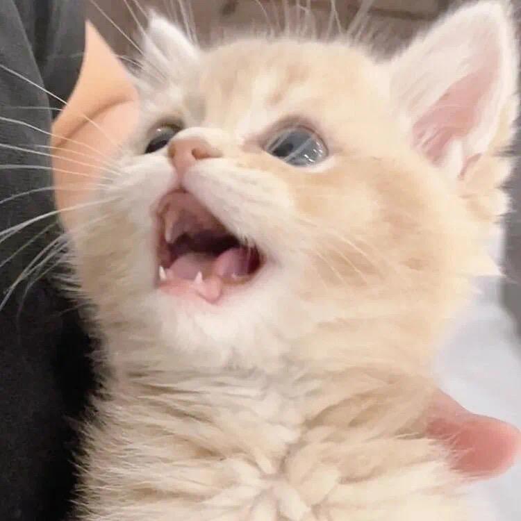 熬夜不长黑眼圈