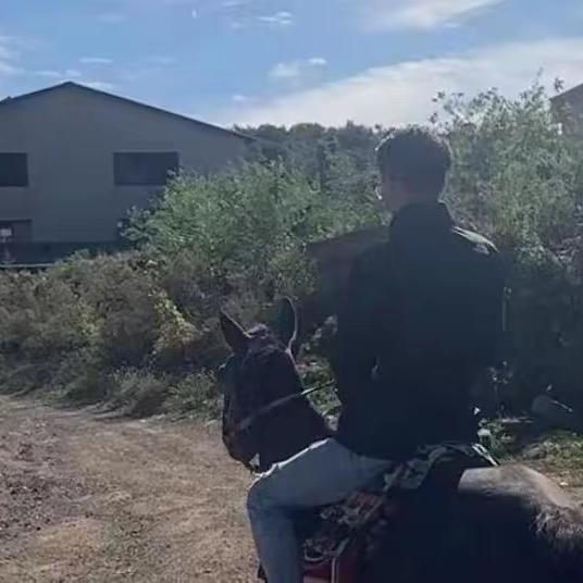 G277（招助教版）