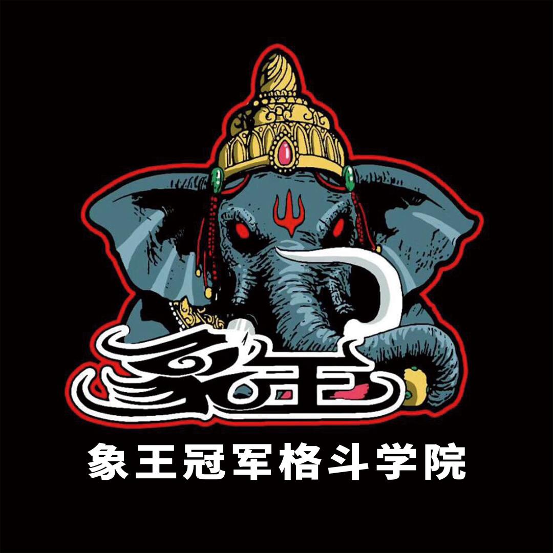 象王冠军格斗学院