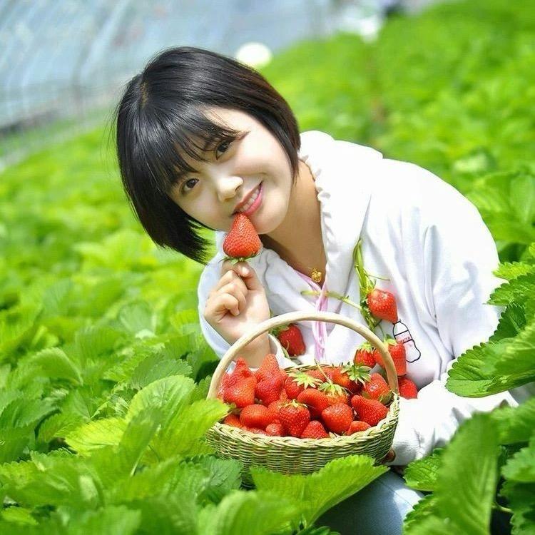 恋上草莓