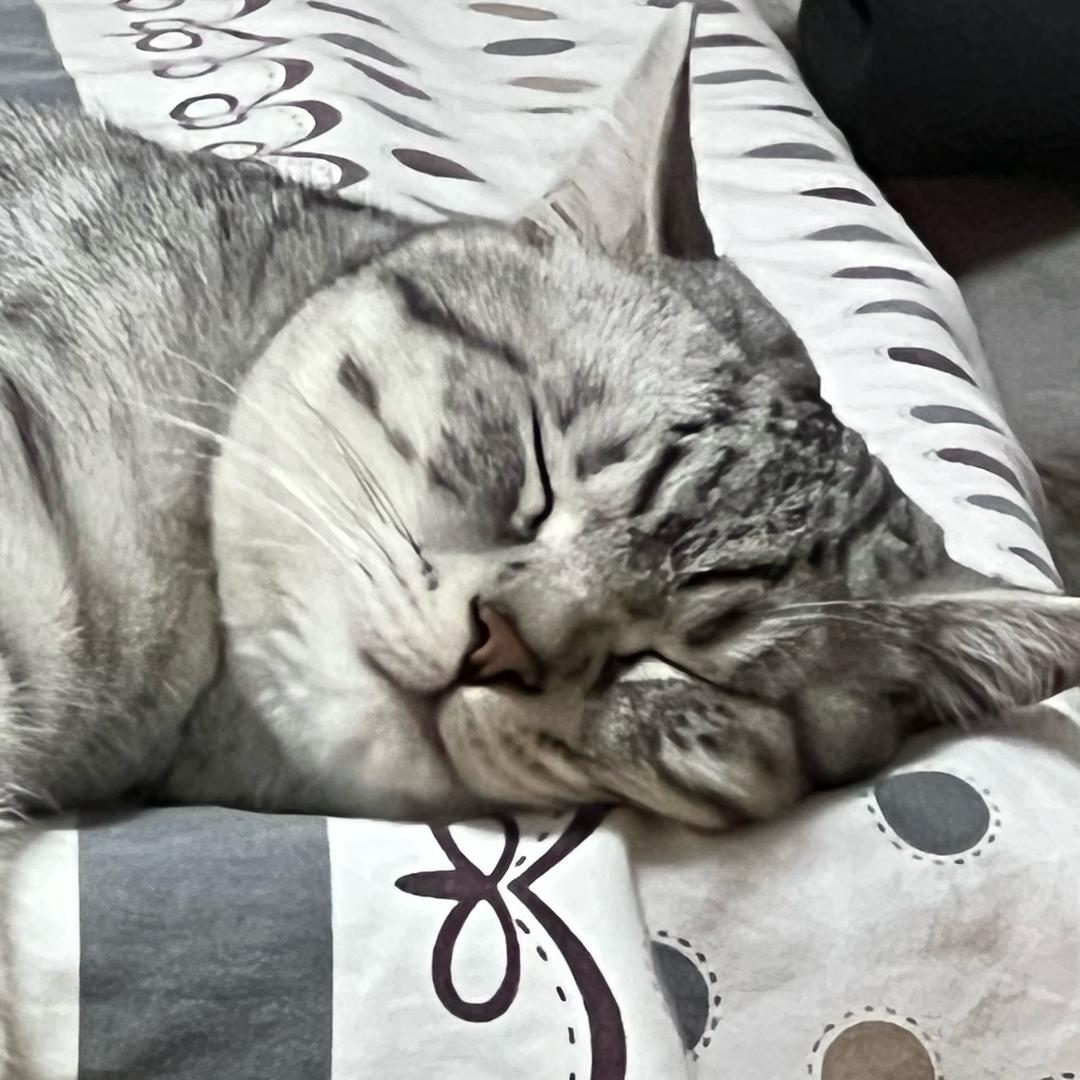 长点肉吧秋梨膏