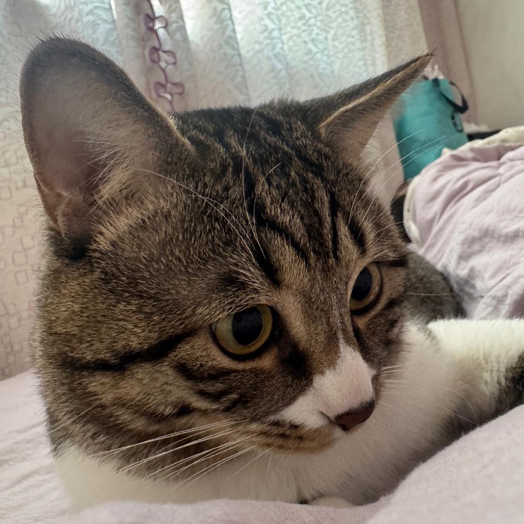 ，用户188383939494