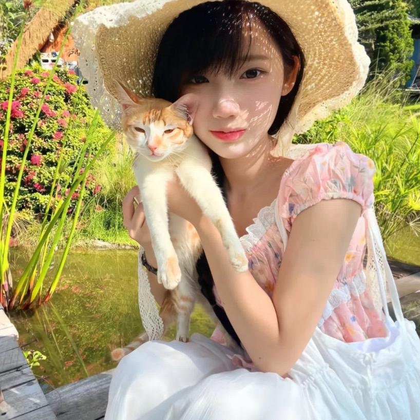 椰椰