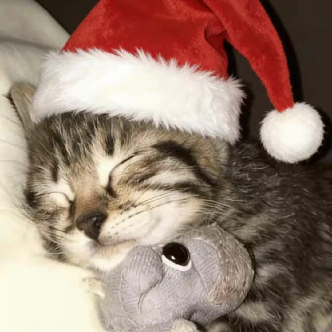 想当一只乌萨奇