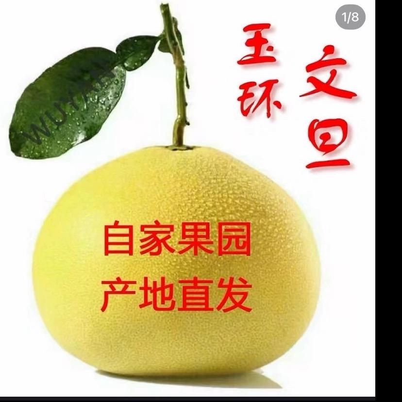 玉环文旦叶叶果园