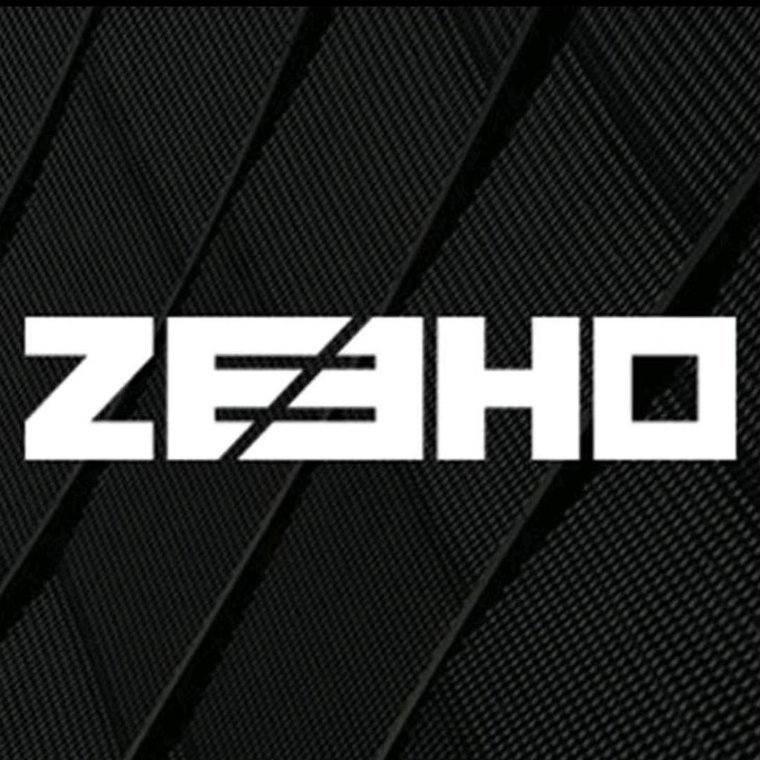 ZEEHO极核电动(合肥运营中心)