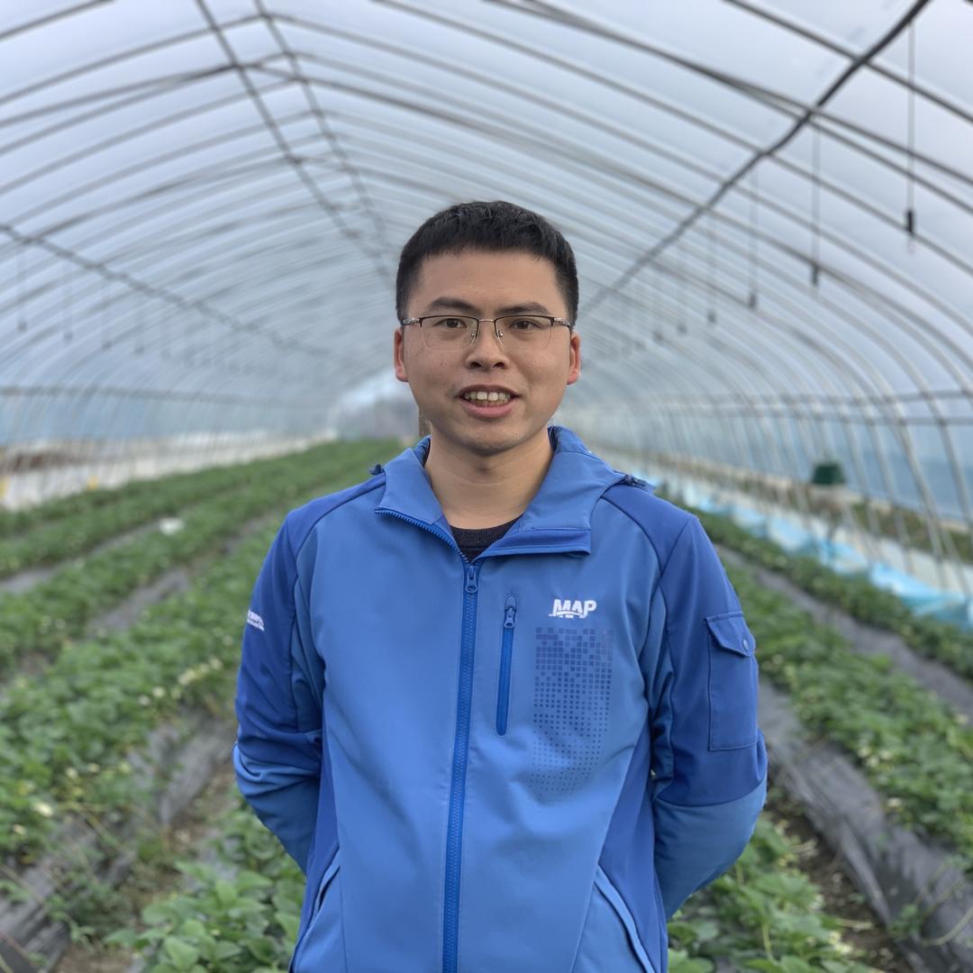 草莓农技小马哥