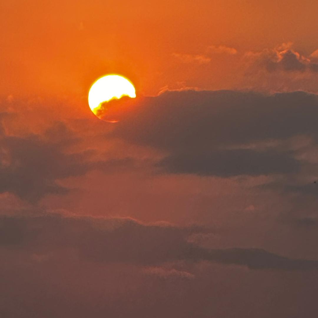 明日头条