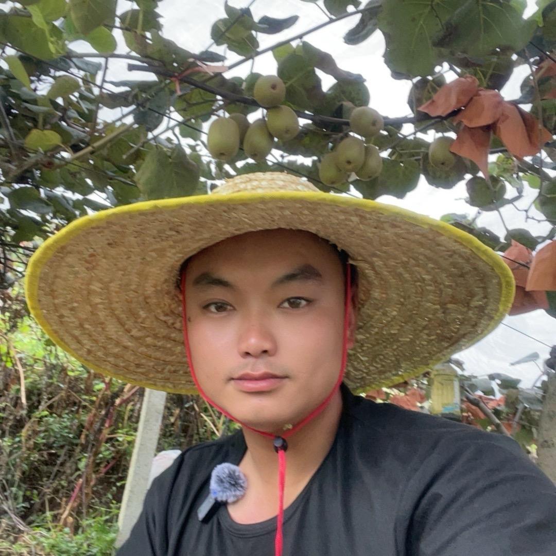 成凡老弟