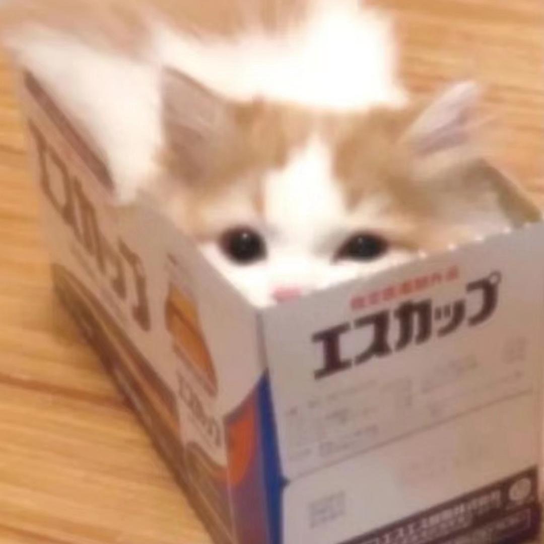 iiiiiiu