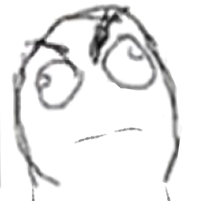 私は野良猫です