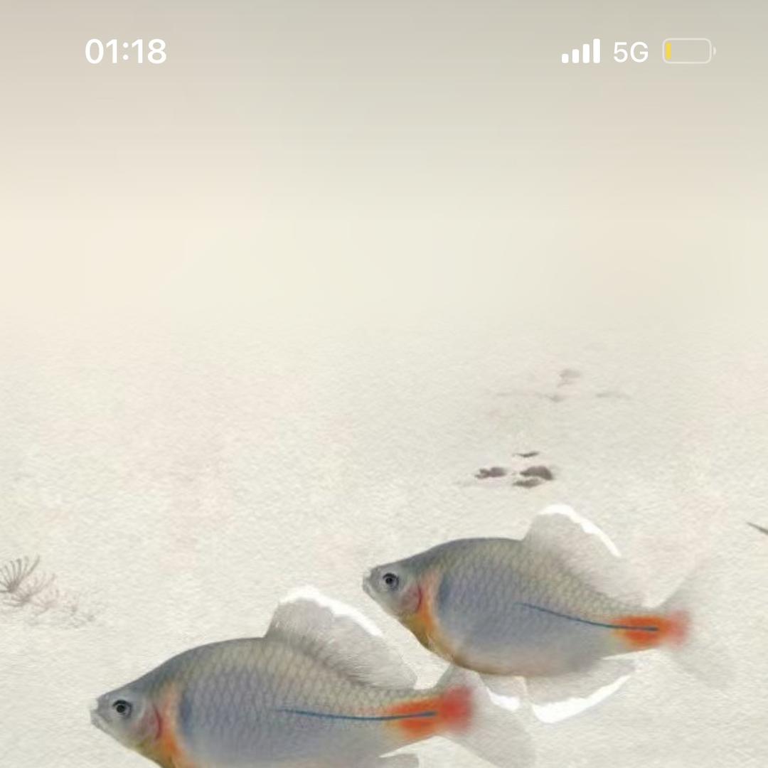 原生溪流严选