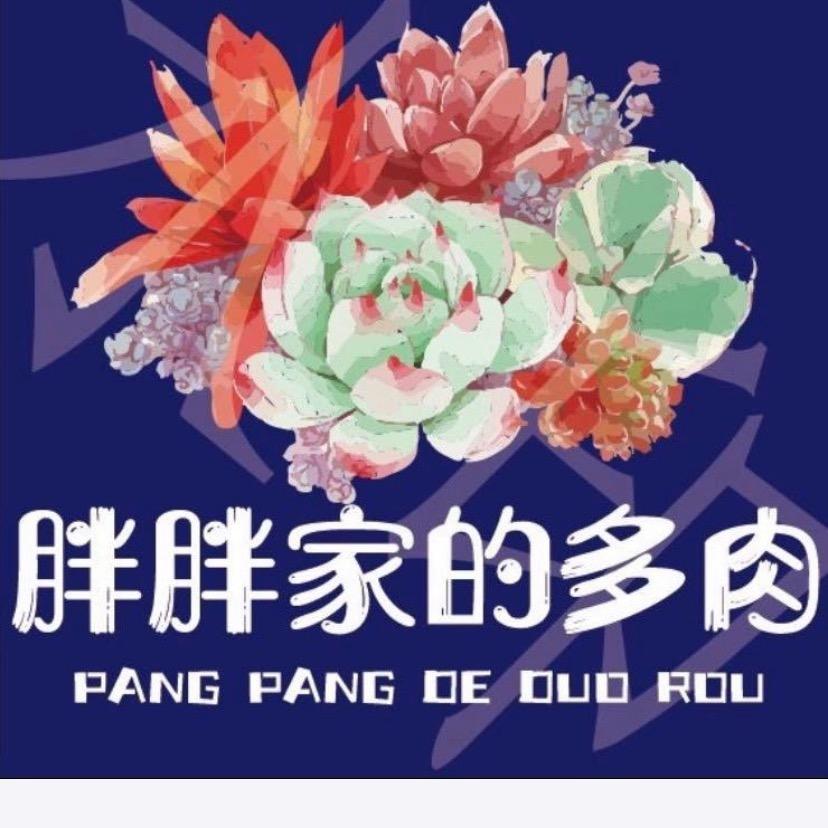 胖胖家的多肉