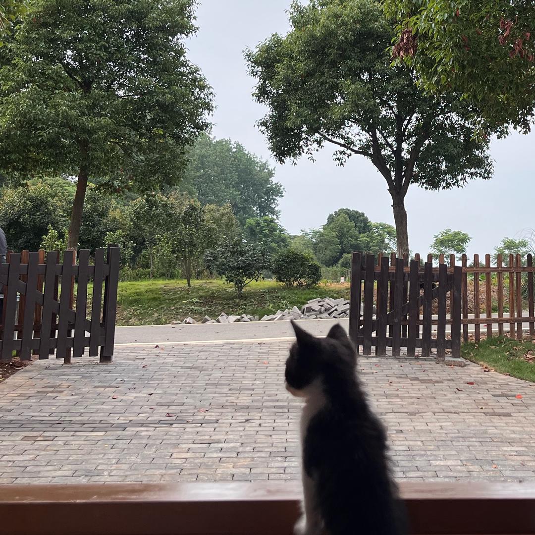 毛里湖小筑—钓鱼越野