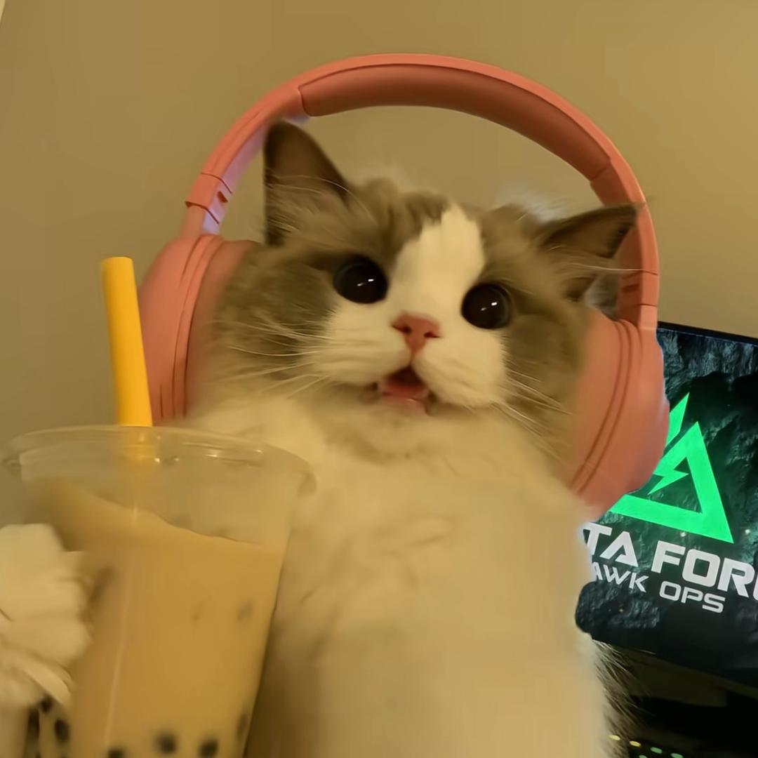 你的lanlan