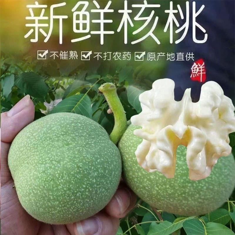 良良园艺