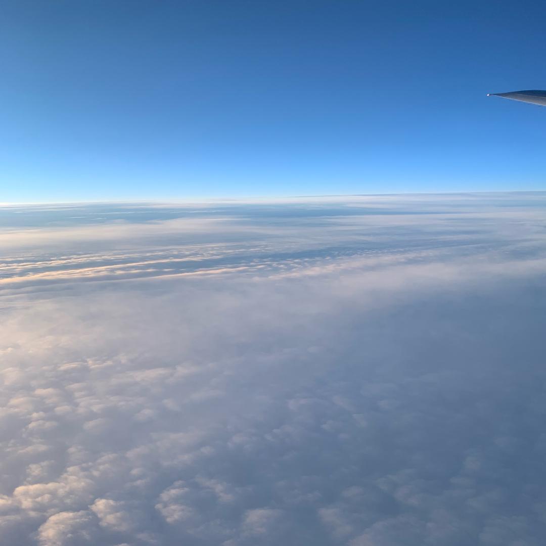 每天都想跑路的搬砖狗