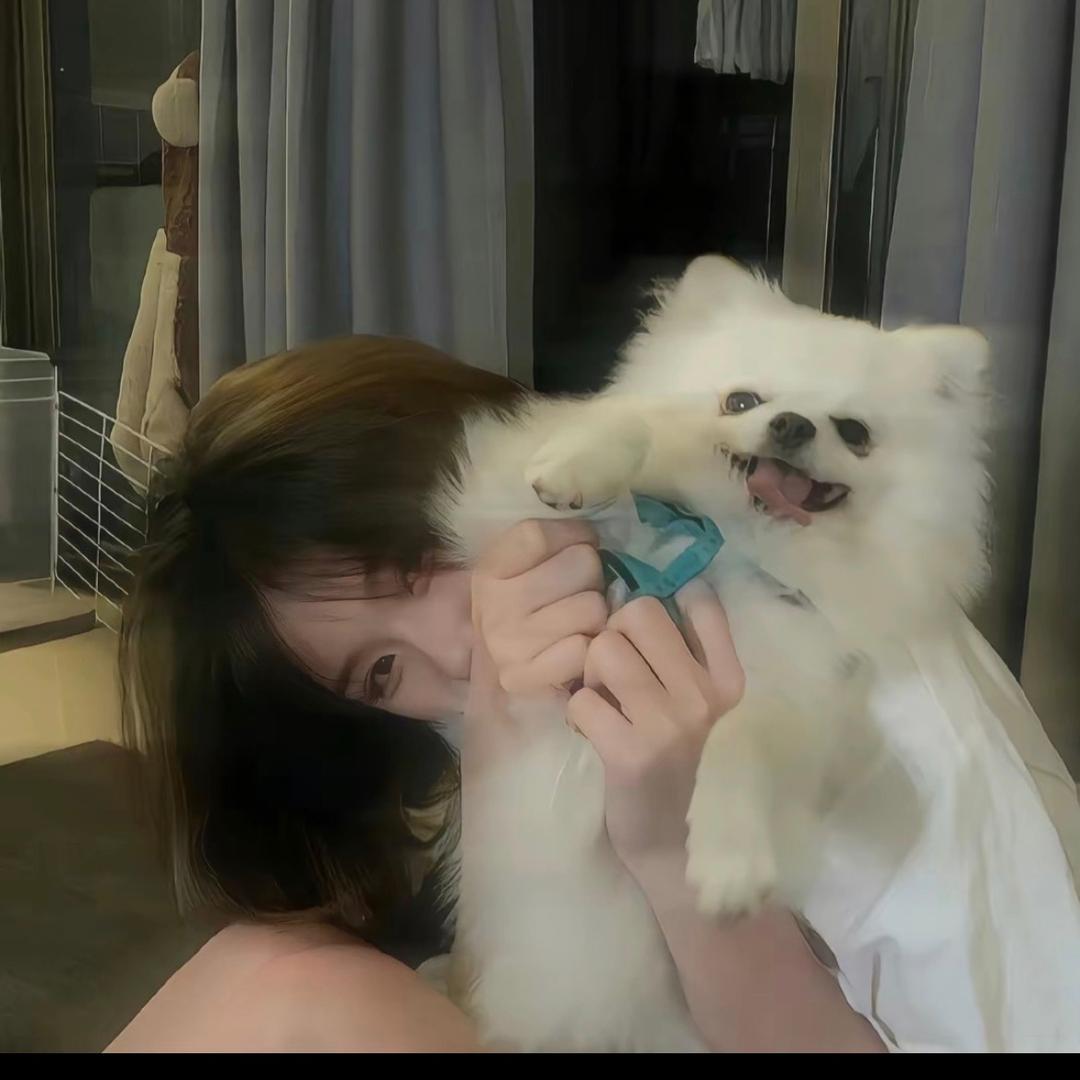 👣是园园呀👑