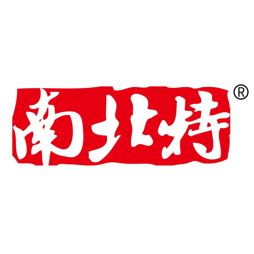 南北特官方旗舰店