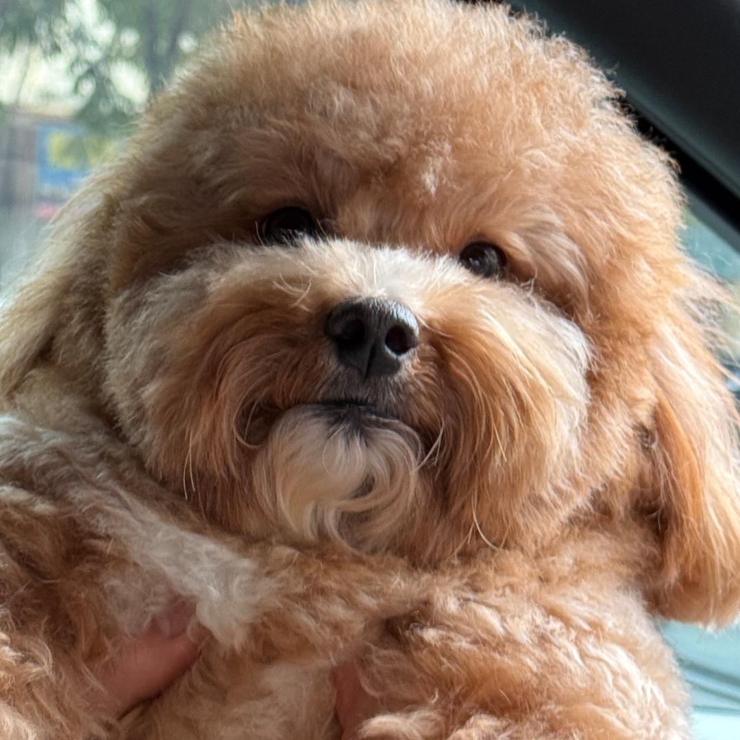 鱼靶子