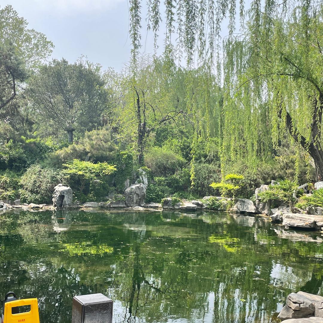 辣妈流水账