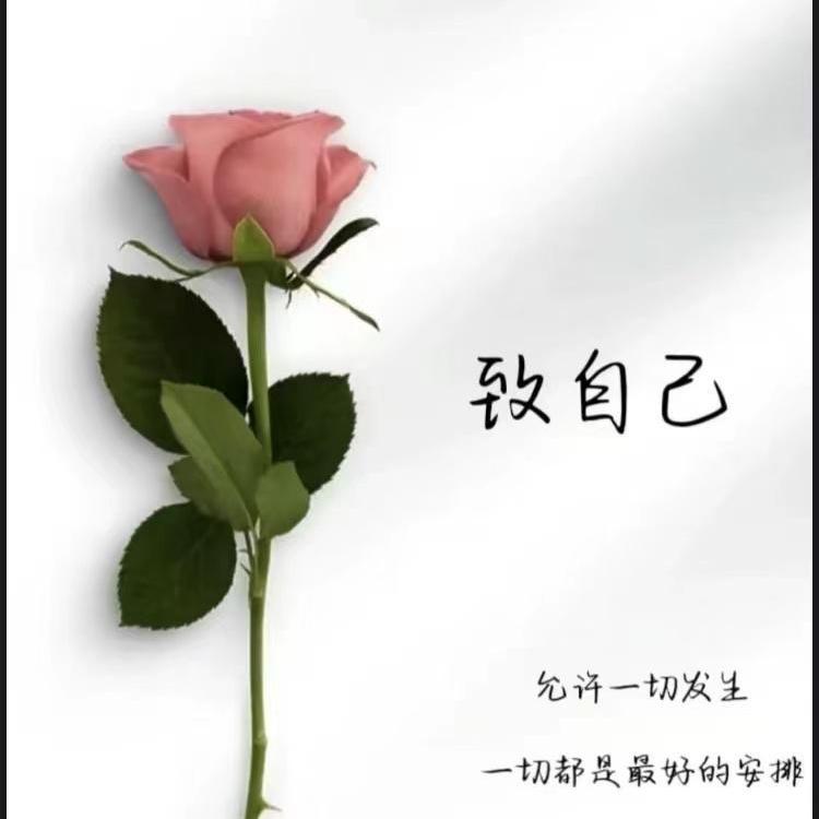 图图家衣柜好漂亮