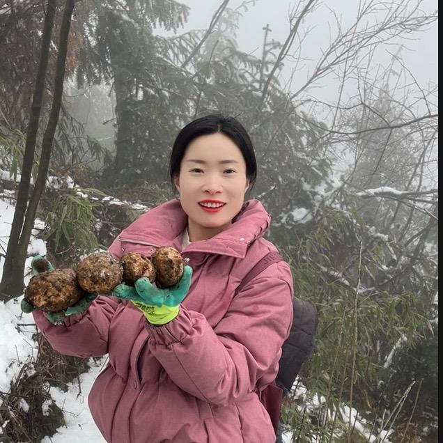 腊梅子
