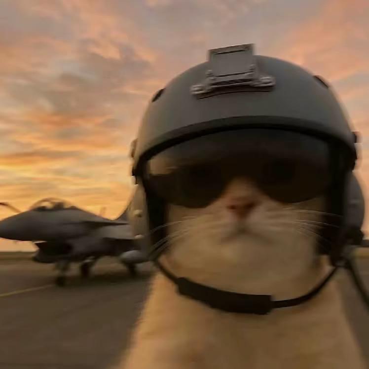 小伍（三角洲）