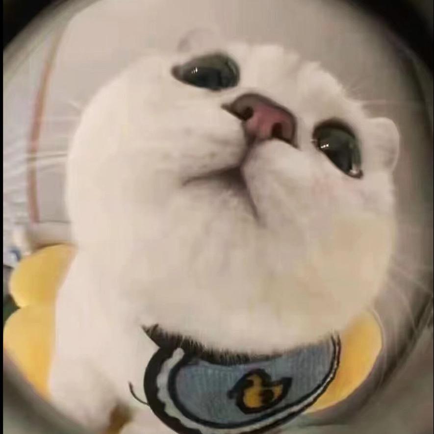 优优u