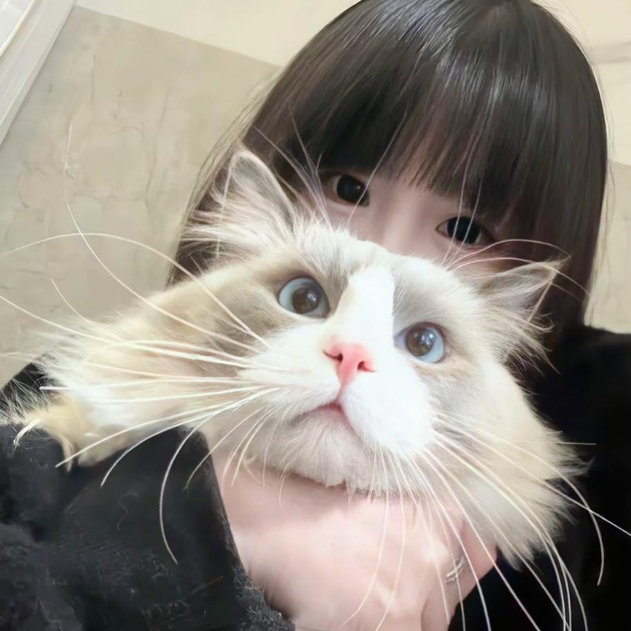 小七