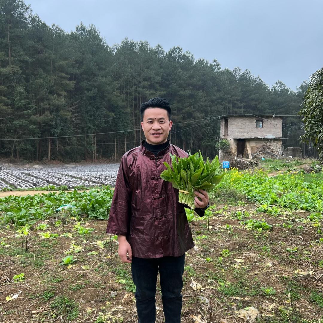 贵州吃草土黄牛总店