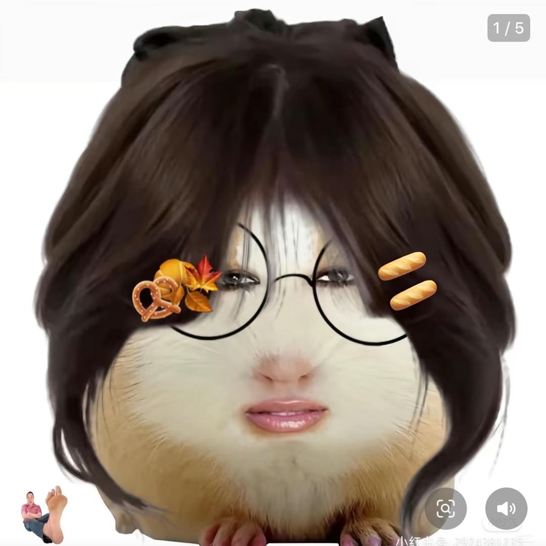 猪妞🐖🐷