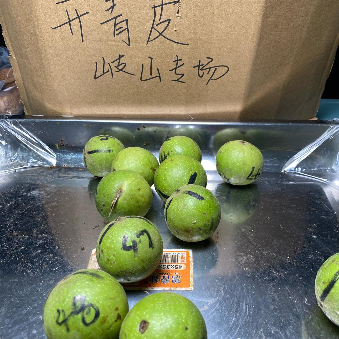 快乐开青皮