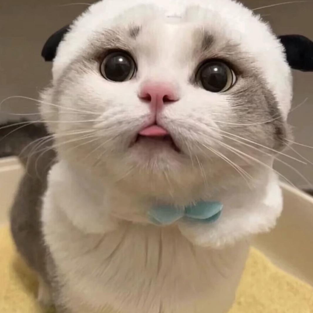 柠檬物语科技有限公司