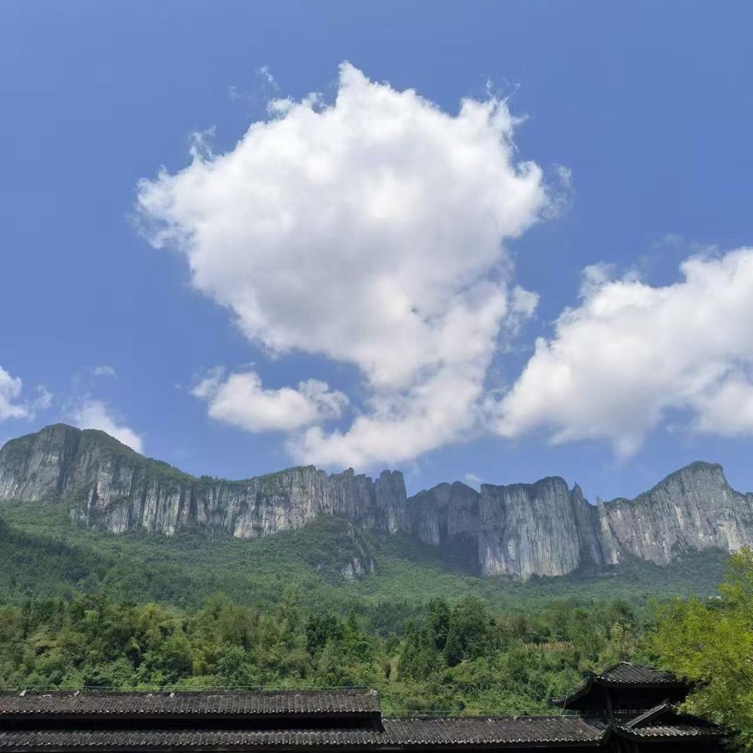 金宝