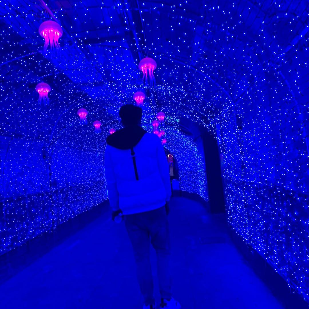 L◔‸◔i·͜･ᐝ🍭