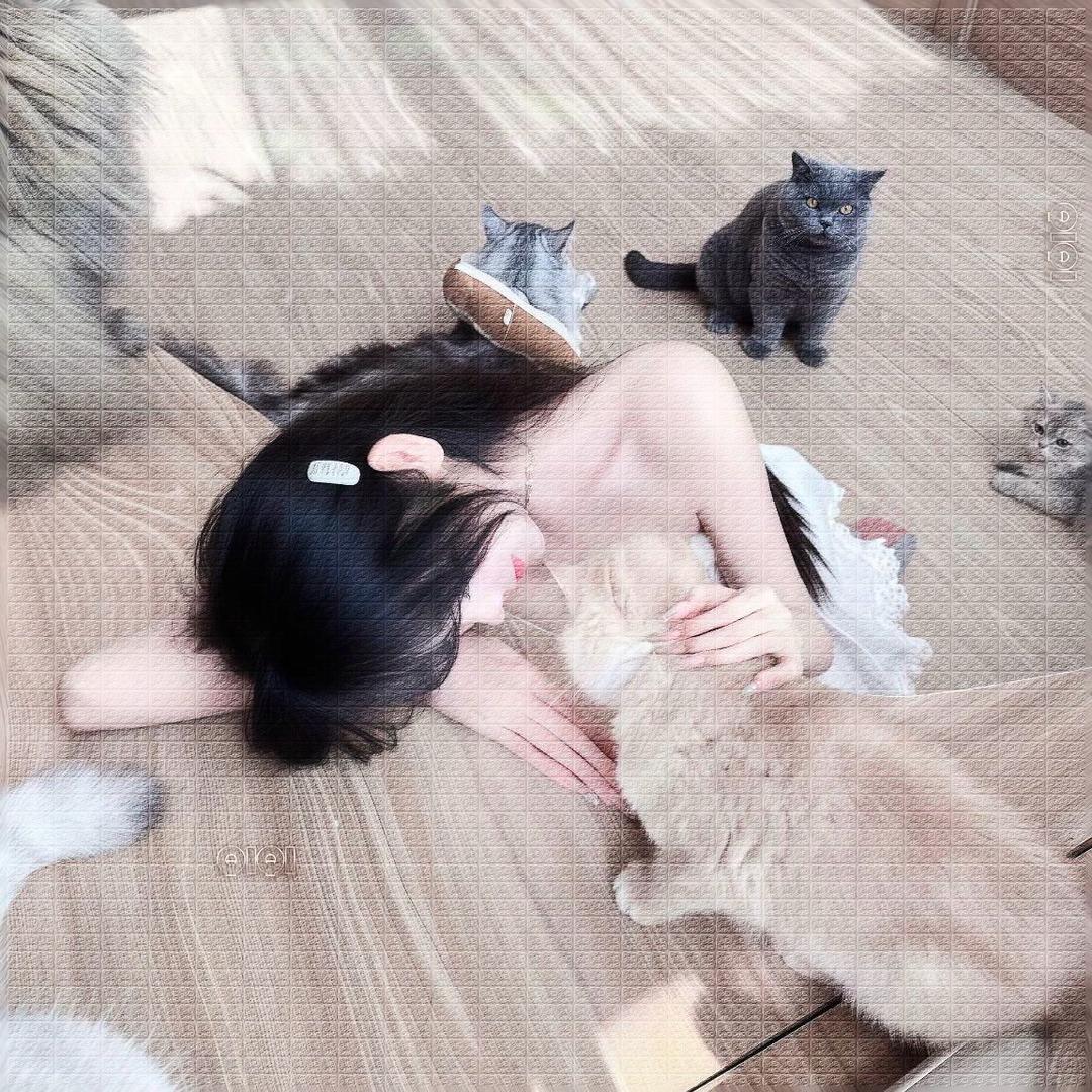 柒柒