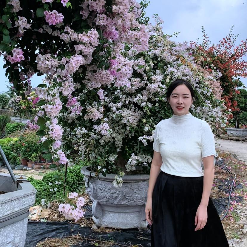 叶子对版花坊