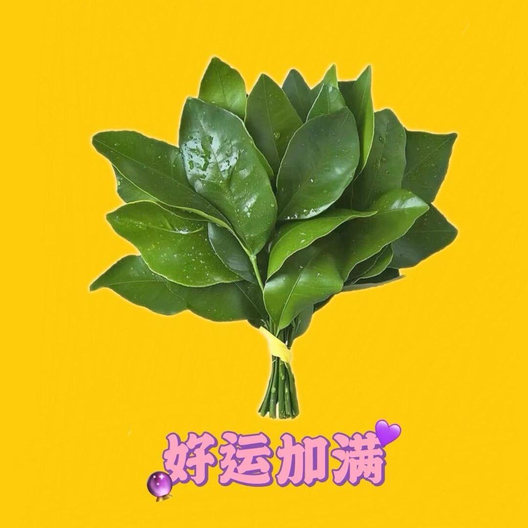 鄂尔多斯羊毛羊绒工厂9号店