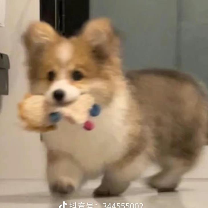 真爱无解
