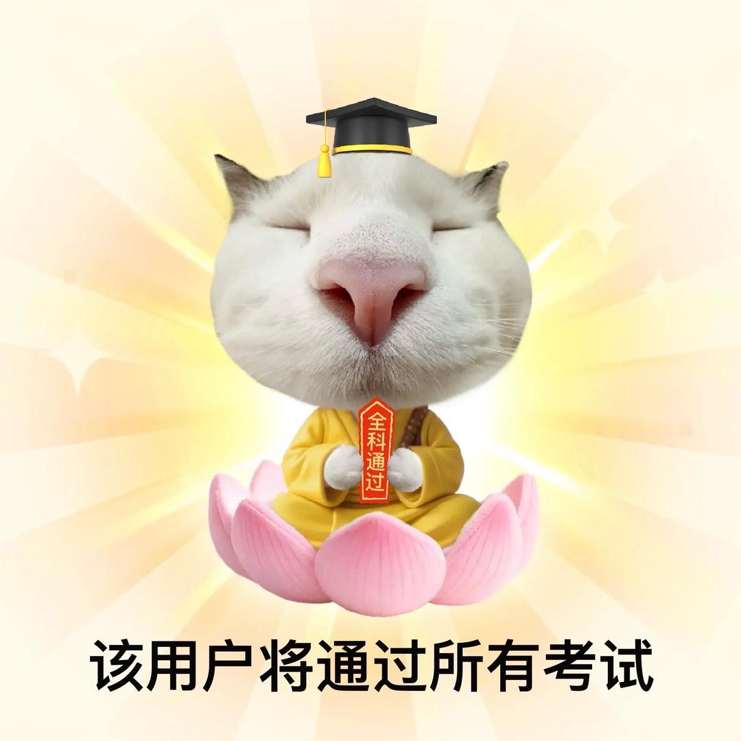 小冉的大学漫游指南