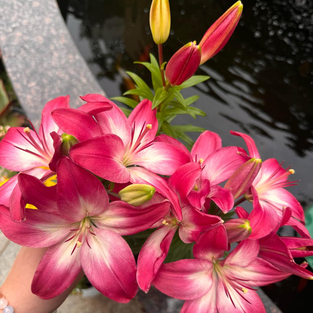 瑞合花园