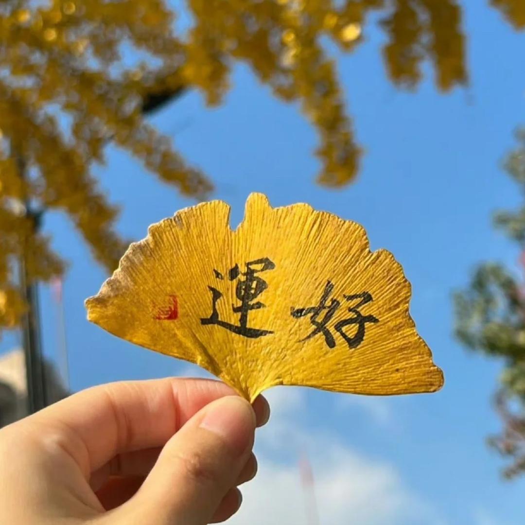 冰言雪语