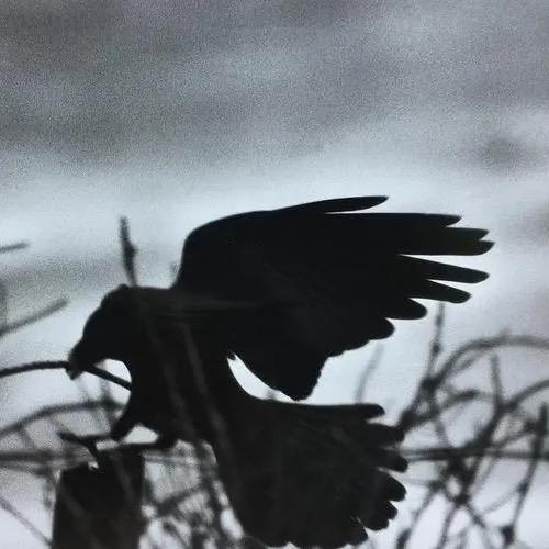 StrangerHunter