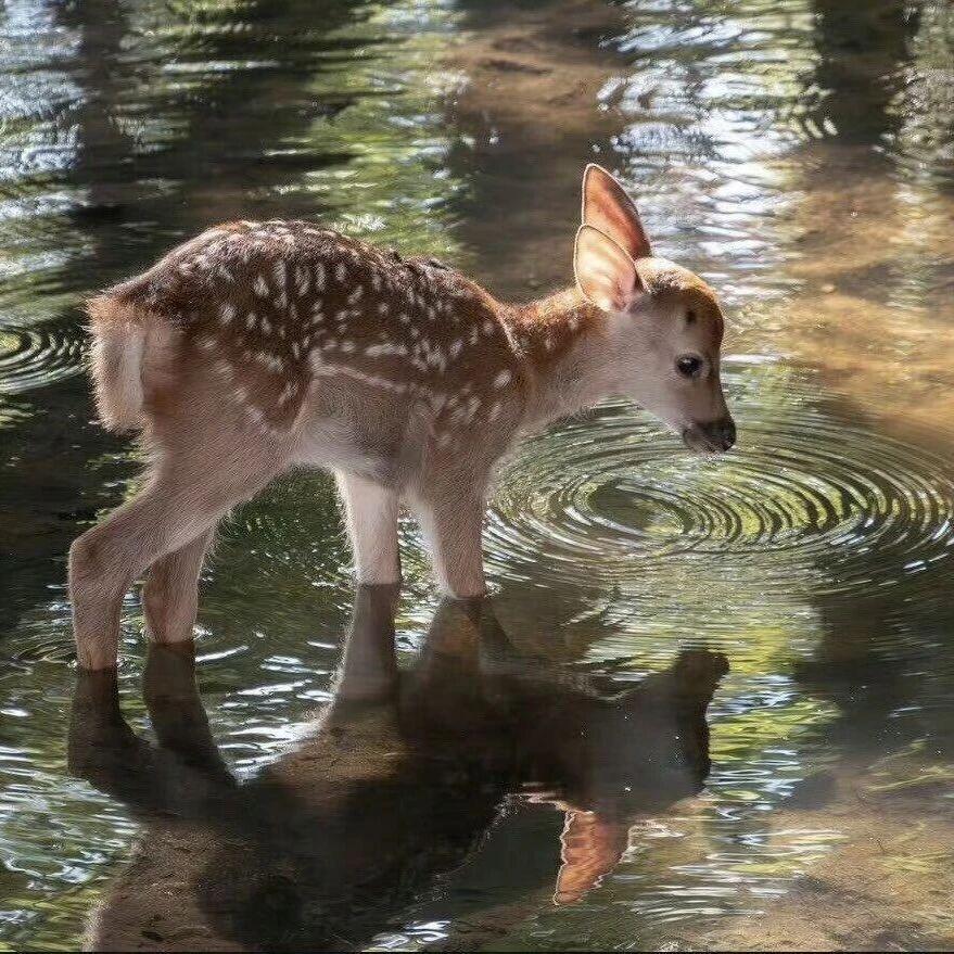 不知道叫啥👩‍🏫