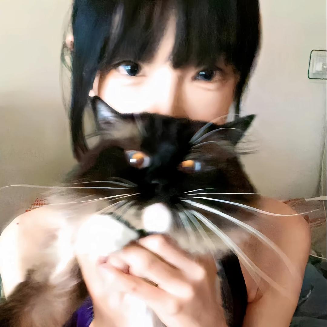 羊洋羊