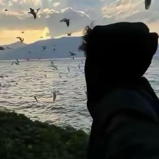 zlh