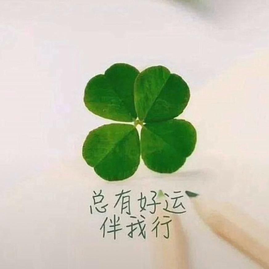♛好幸运♛