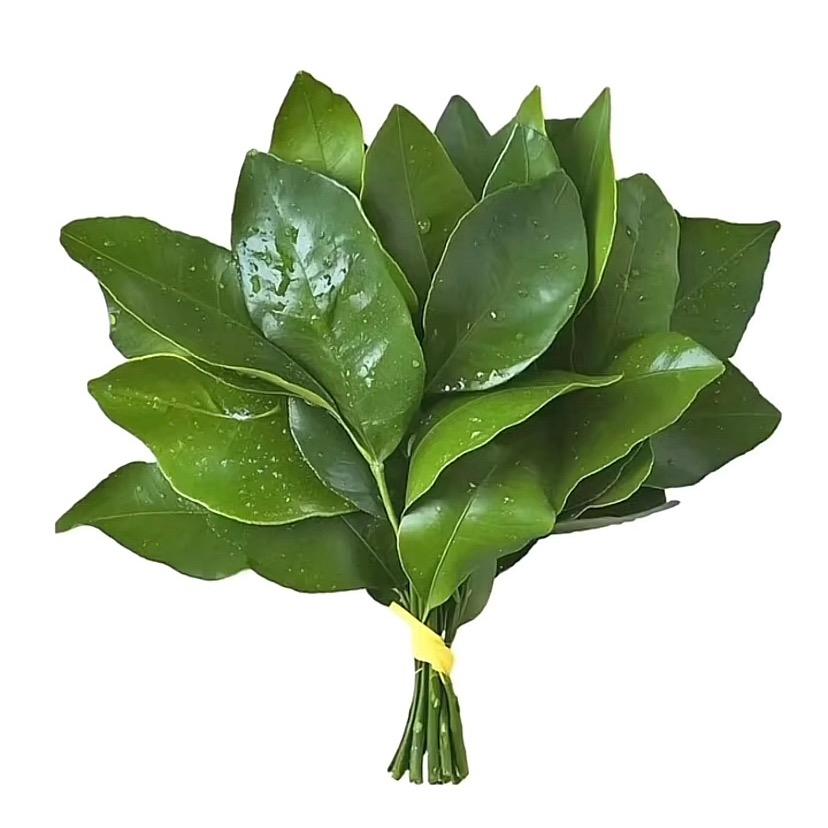 十七洲